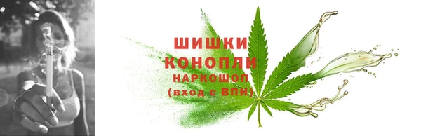 дмт Осташков