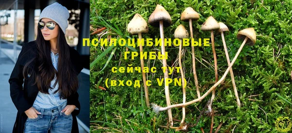 эйфоретик Пестово