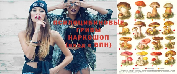 тгк Осинники