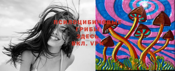 эйфоретик Пестово