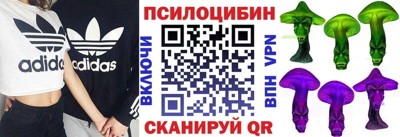 Псилоцибиновые грибы Psilocybine cubensis Татарск